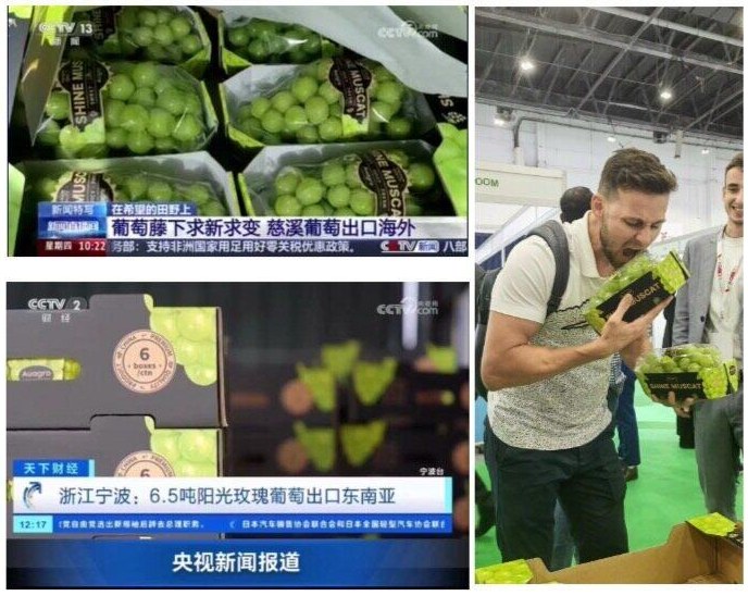 海外案例实拍
