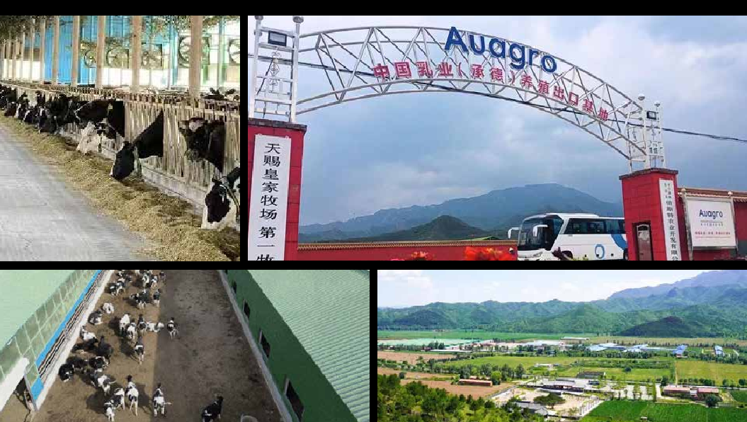 China Dairy (Chengde) Breeding Export Base